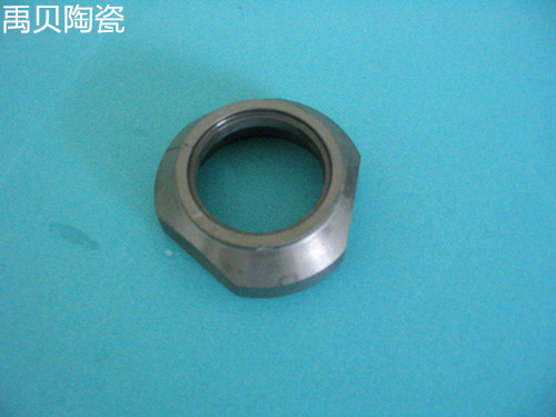 碳化硅陶瓷环