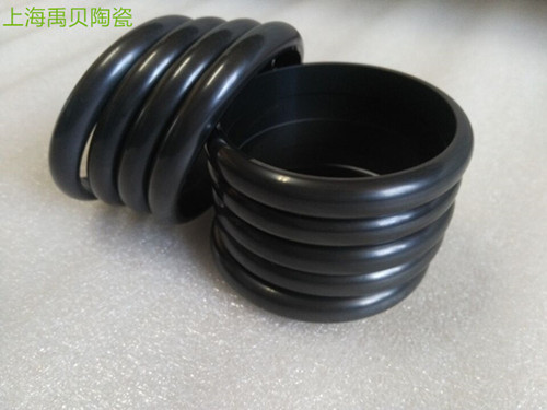 碳化硅陶瓷环